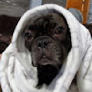 Meet your Posher, Tom